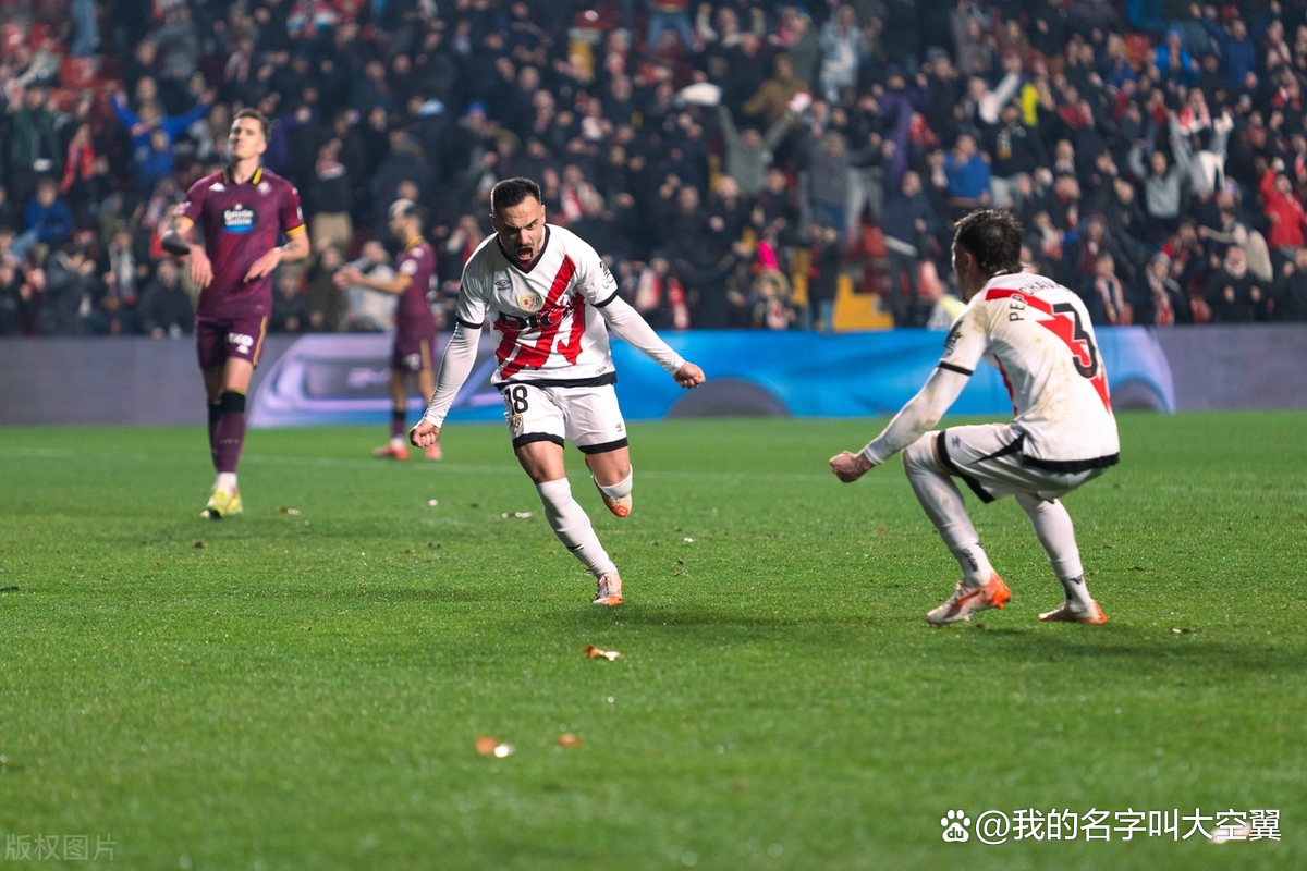 关于西甲主场球迷引发冲突，导致比赛停止的信息