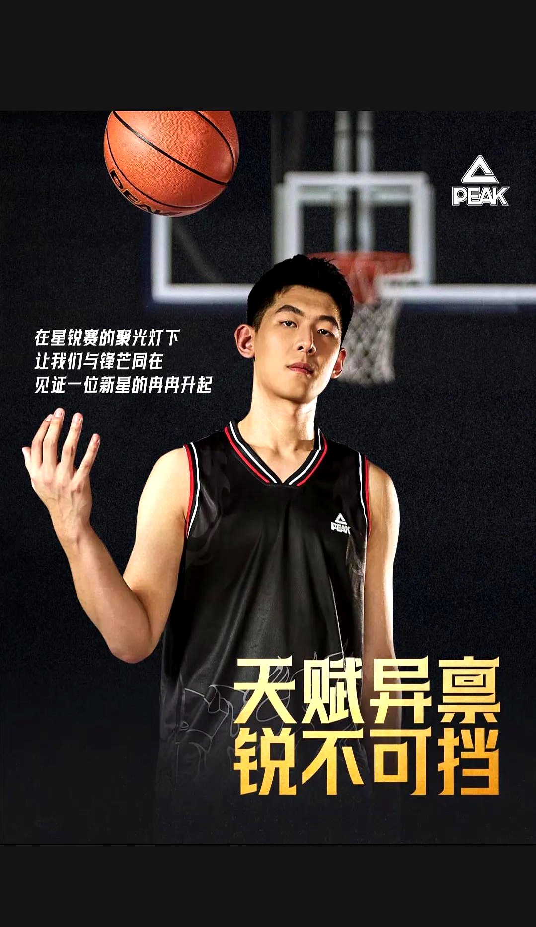 关于篮球职业联赛新晋球员崭露头角，成绩斐然的信息