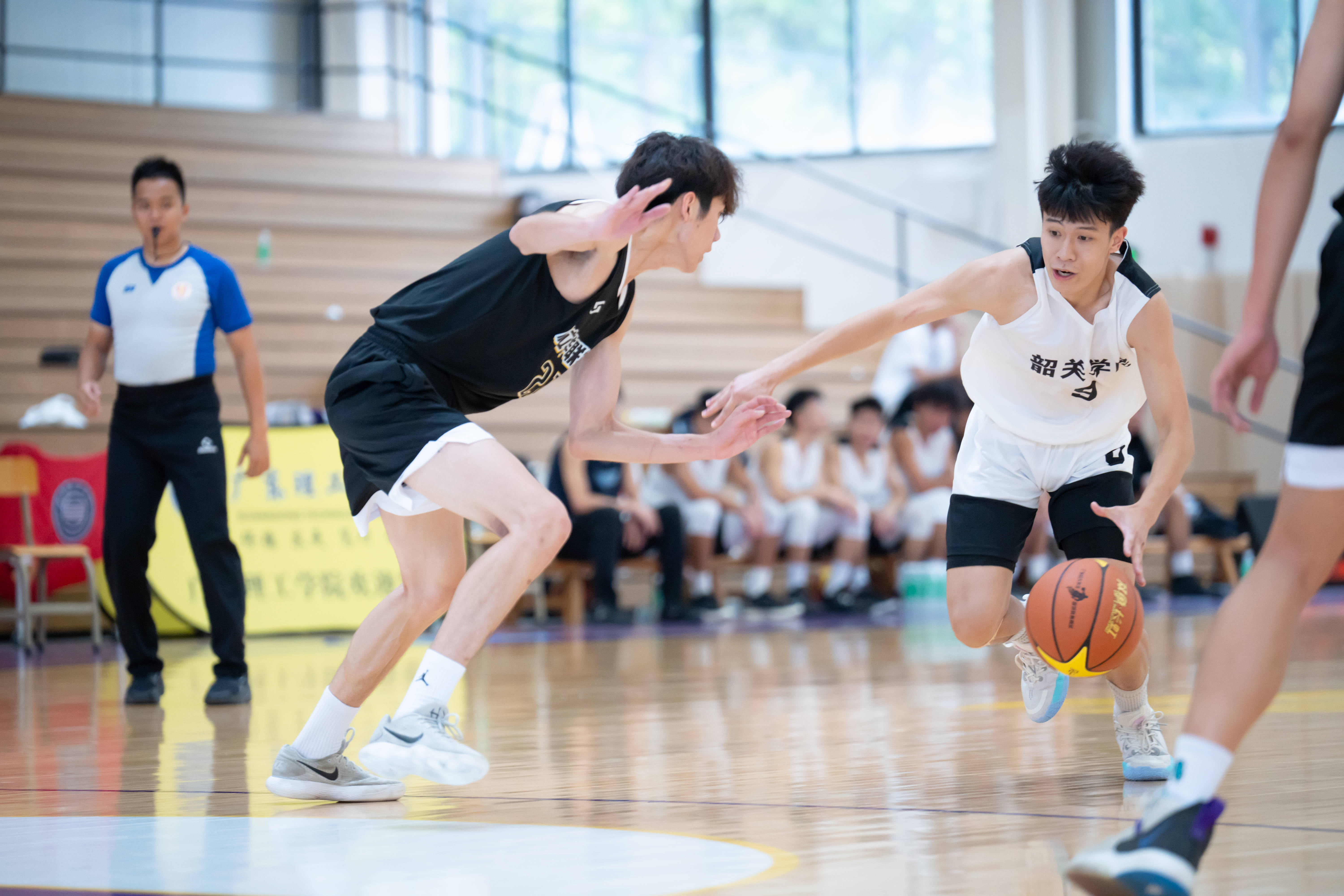 关于篮球职业联赛新晋球员崭露头角，成绩斐然的信息