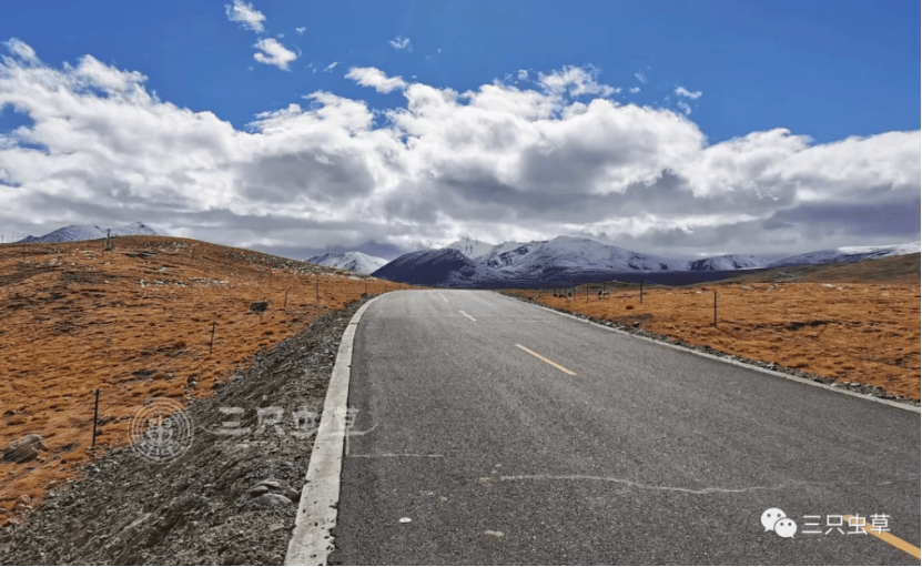 吉林折损多名主力，实力受到极大考验的简单介绍