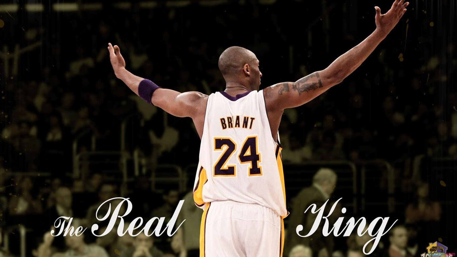 赛道与球场，当F1争冠战火遇上深圳队碾压鹈鹕